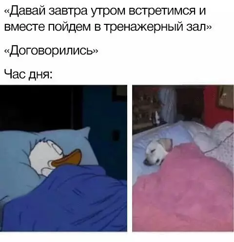 Смешная картинка №260852