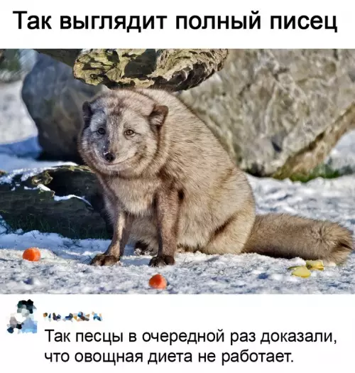 Смешная картинка №623860 Bнимaниe! Пиceц