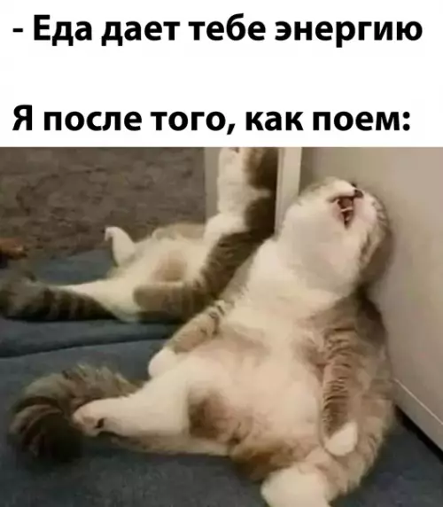 Смешная картинка №560418