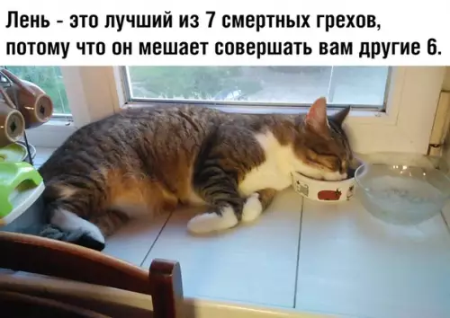 Смешная картинка №367793