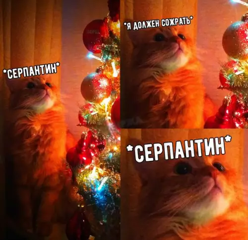 Смешная картинка №233961