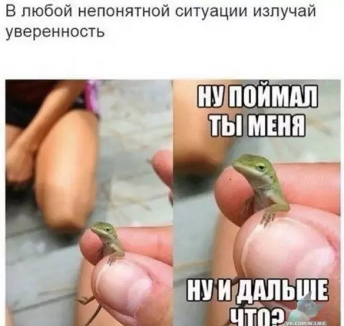 Смешная картинка №412675
