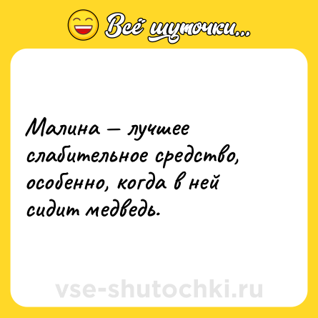 Шутка: Малина — лучшее слабительное средство, особенно, когда в ней сидит медведь.