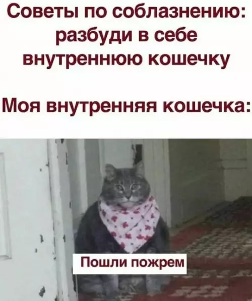 Смешная картинка №762583 Соблазнительновое 😻😻