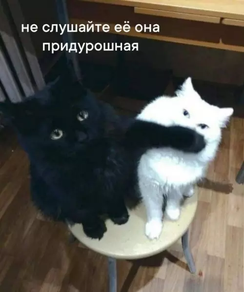 Смешная картинка №741173