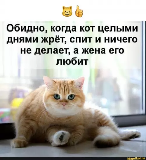 Смешная картинка №647279