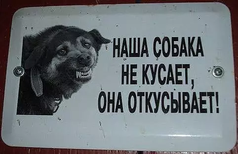 Смешная картинка №369298 собаки
