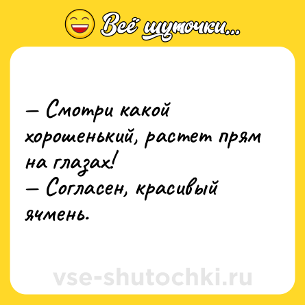 Шутка: — Смотри какой хорошенький, растет прям на глазах! <br>— Согласен, красивый ячмень.