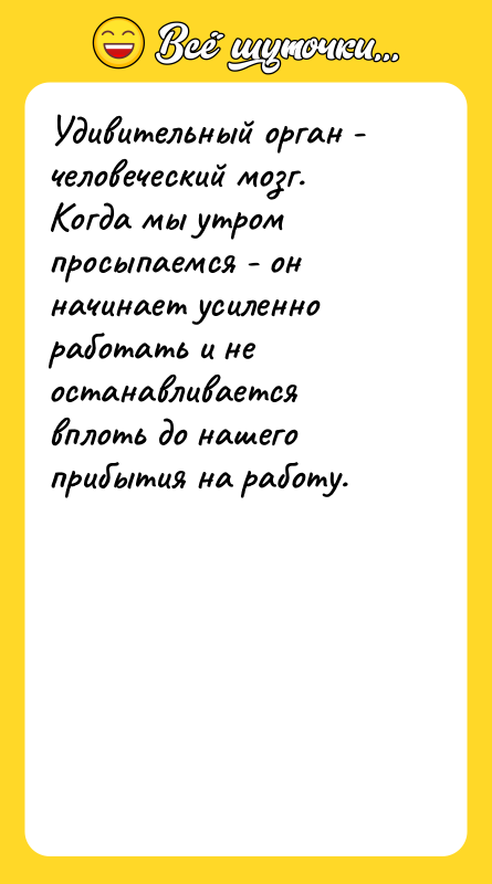 Удивительный орган - человеческий мозг. Когда мы утром просыпаемся -
