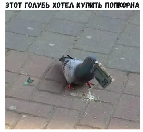 Смешная картинка №301705
