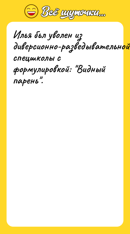 Илья бьл уволен из диверсионно-разведывательной спецшколы с формулировкой: Видный