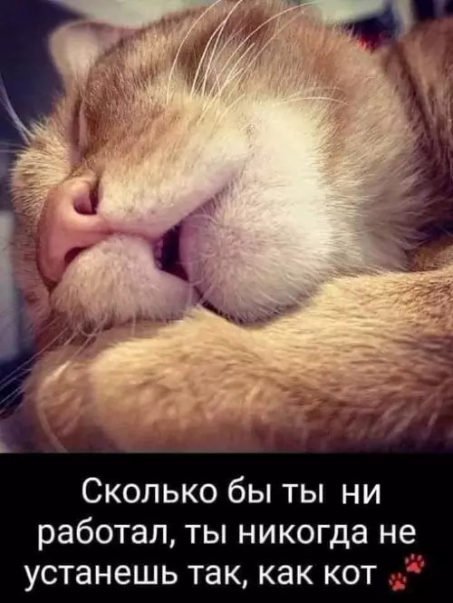 Смешная картинка №721101