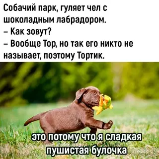 Смешная картинка №696782