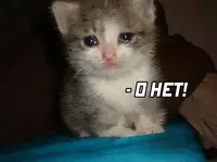 продолжение Смешная картинка №626303