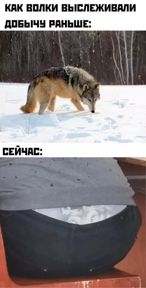 Смешная картинка №583263