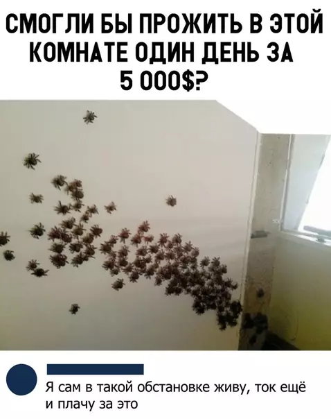 Смешная картинка №318558