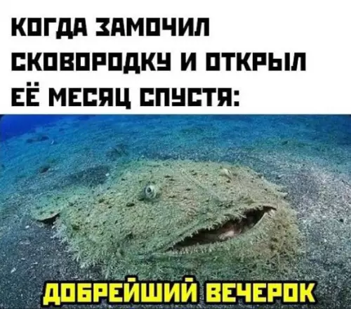 Смешная картинка №721354