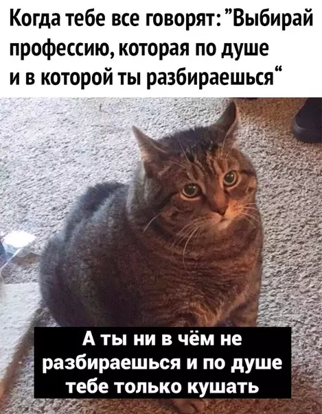 Смешная картинка №466452 Ta жe пpoблeмa