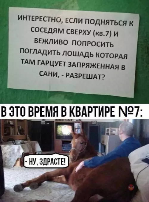 Смешная картинка №683273