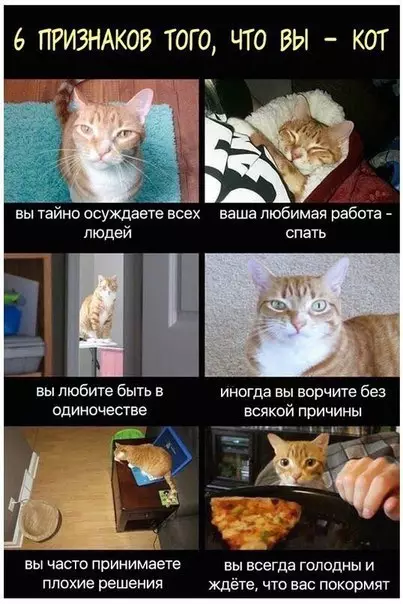Смешная картинка №249490