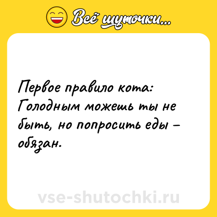 Шутка: Первое правило кота: Голодным можешь ты не быть, но попросить еды – обязан.