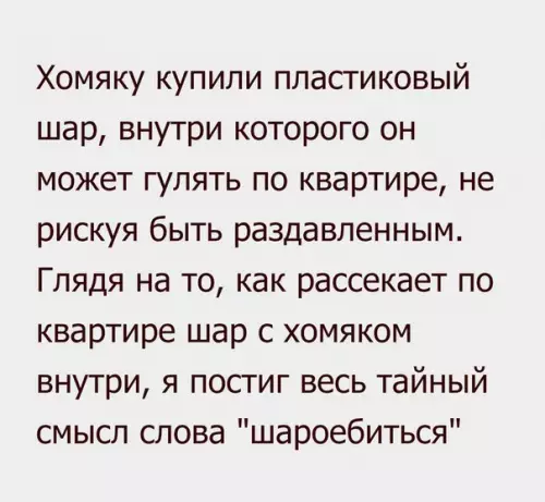 Смешная картинка №259945