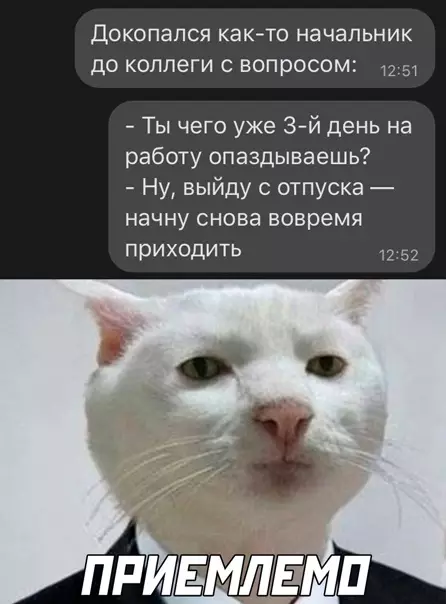 Смешная картинка №560660 работа