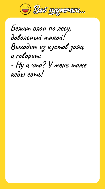 Бежит слон по лесу, довольный такой! Выходит из кустов заяц