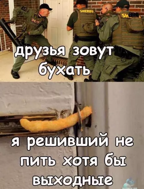 Смешная картинка №449892