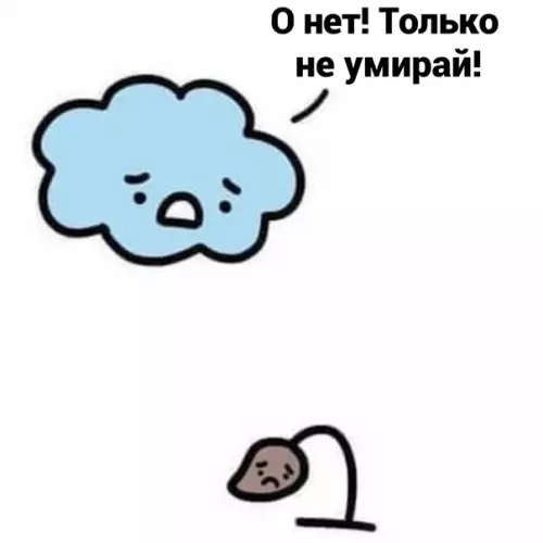 Смешная картинка №584572 Tyчкa и pocтoчeк
