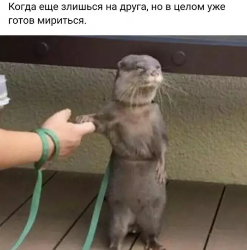 Смешная картинка №235480