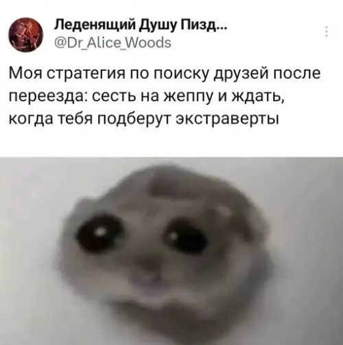 Смешная картинка №718802 психология, друзья