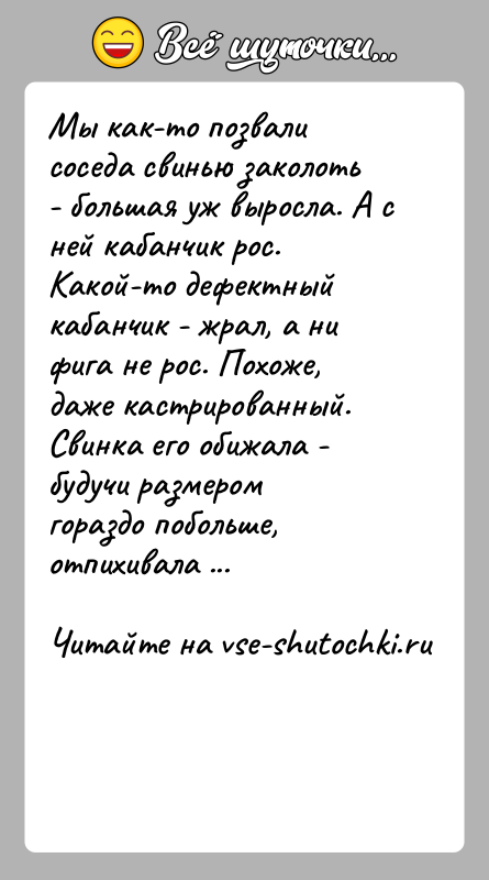 История: Мы как-то позвали соседа свинью заколоть - большая уж выросла. А с ней кабанчик рос. Какой-то дефектный кабанчик - жрал,