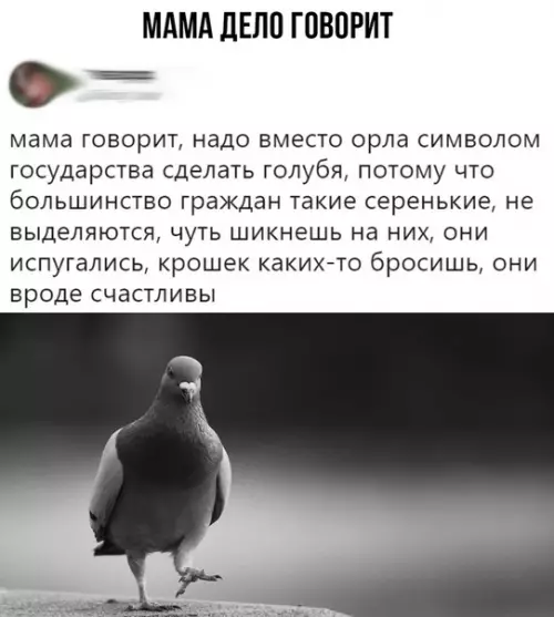 Смешная картинка №341037