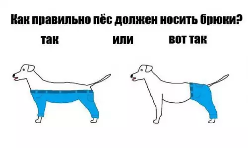 Смешная картинка №234811