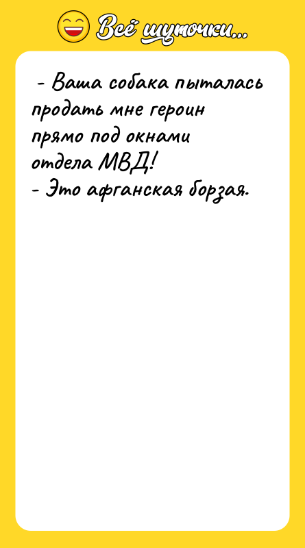  - Ваша собака пыталась продать мне героин прямо под
