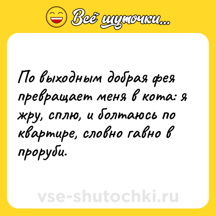 Шутка: По выходным добрая фея превращает меня в кота: я жру, сплю, и болтаюсь по квартире, словно гавно в проруби.