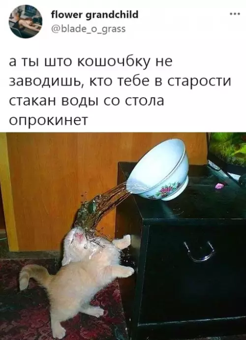 Смешная картинка №628324