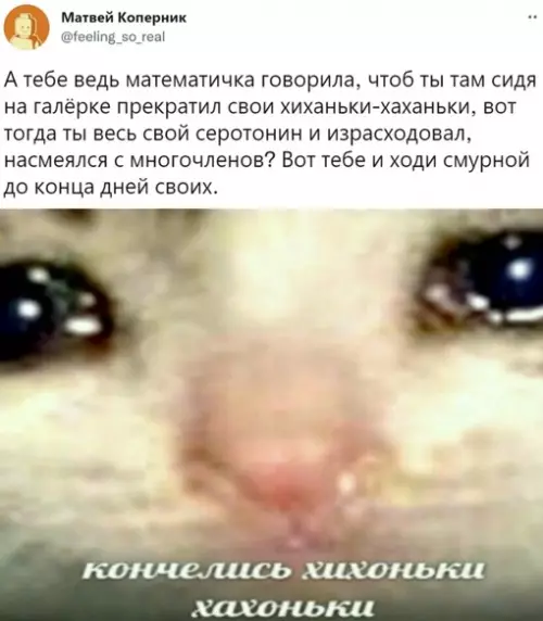Смешная картинка №628274