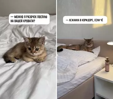Смешная картинка №765360