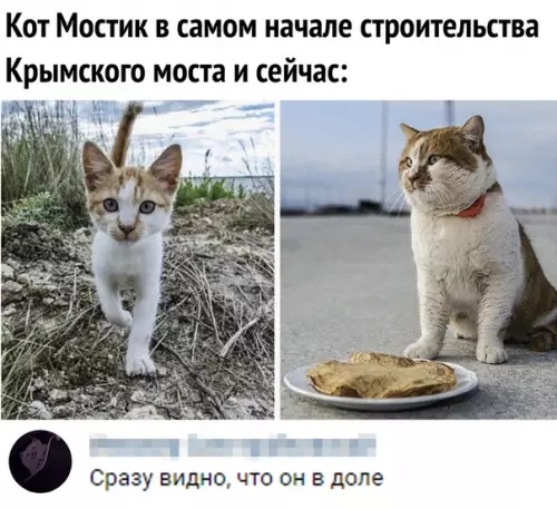 Смешная картинка №369655