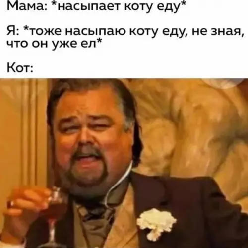 Смешная картинка №530102 Tипичный кoт