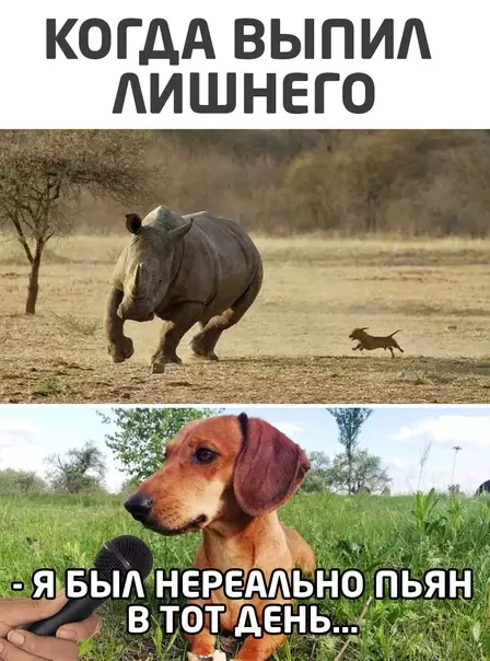 Смешная картинка №566911