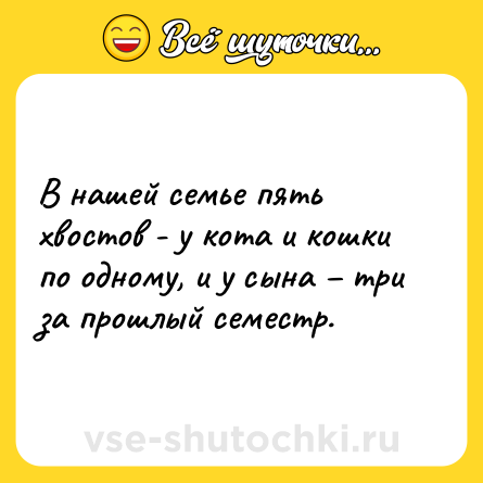 Шутка: В нашей семье пять хвостов - у кота и кошки по одному, и у сына – три за прошлый семестр.