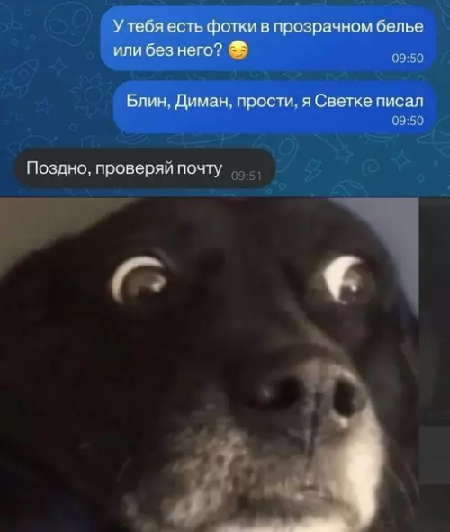 Смешная картинка №659918