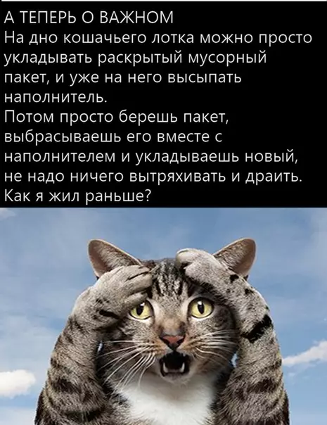 Смешная картинка №395436