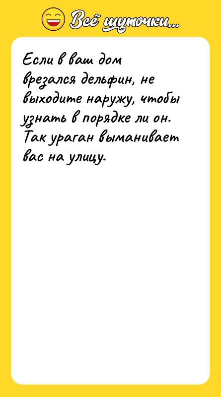 Если в ваш дом врезался дельфин, не выходите наружу, чтобы
