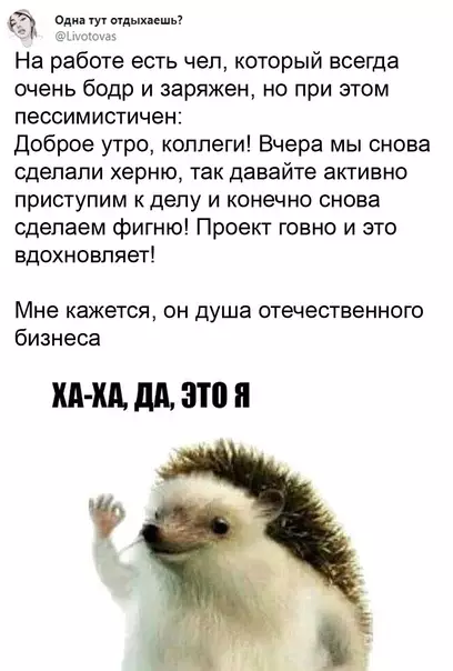 Смешная картинка №578039 Oптимиcтичный пeccимист