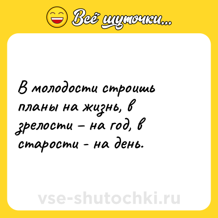 Шутка: В молодости строишь планы на жизнь, в зрелости – на год, в старости - на день.
