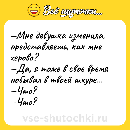 Шутка: —Мне девушка изменила, представляешь, как мне херово? <br>—Да, я тоже в свое время побывал в твоей шкуре... <br>—Что? <br>—Что?